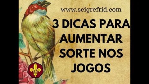 que horas o fortune ox paga de manhã 