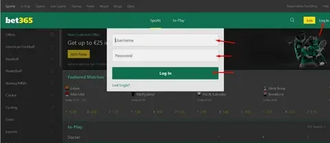 win 555 